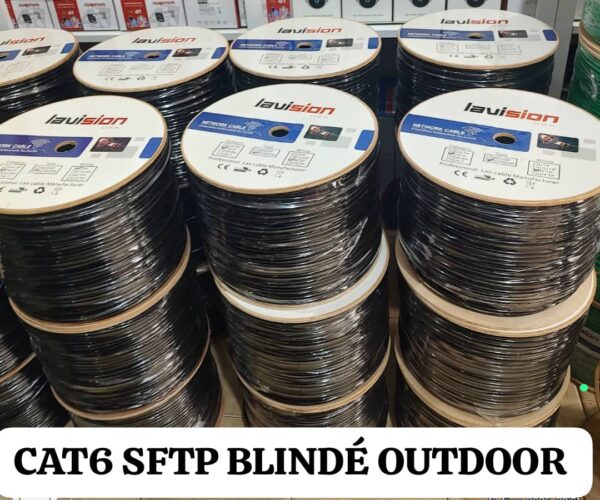 Câble Réseau Lavision USA Cat6 SFTP Blindé Outdoor - Noir
